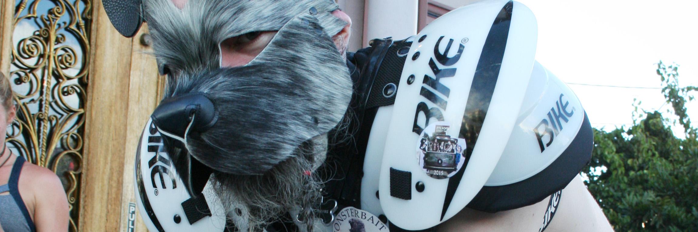 Pup Crumbs banner