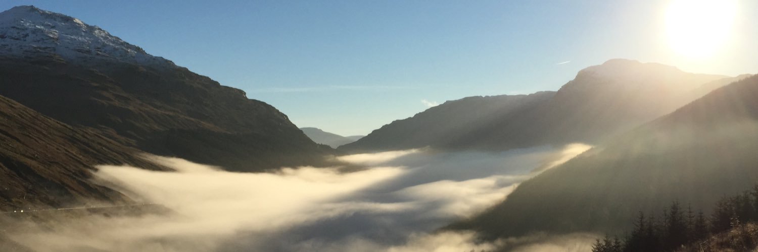 LenaM40's profile banner image