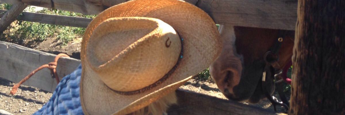 ninette_howard's profile banner image