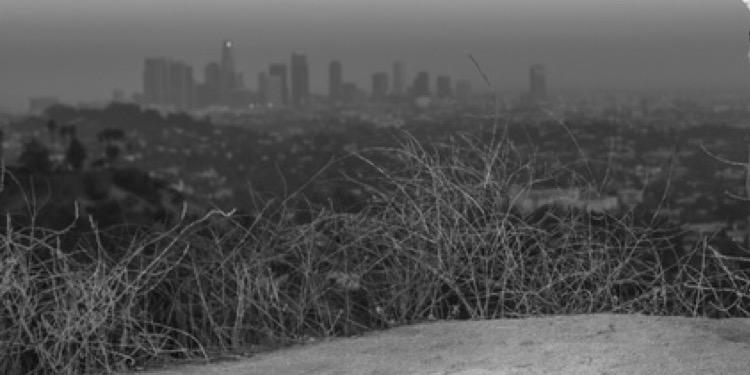 DaringSanguine's profile banner image