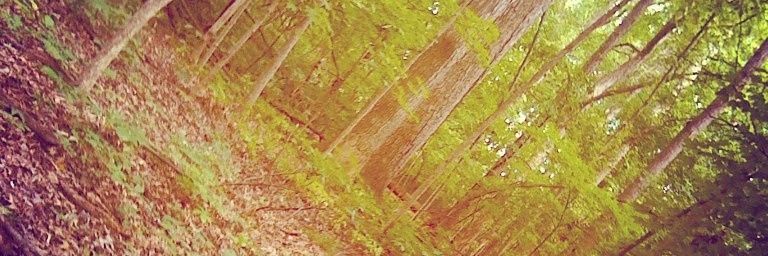 liagiba95's profile banner image