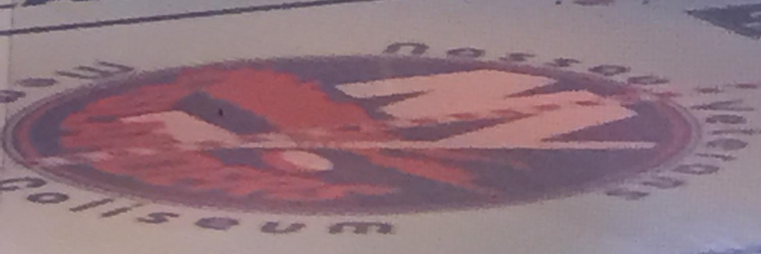 EricaSonnenberg's profile banner image