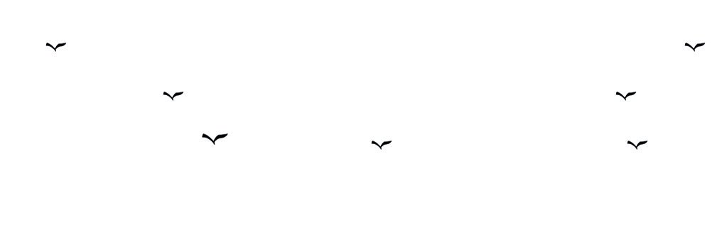 MelikeToy3's profile banner image
