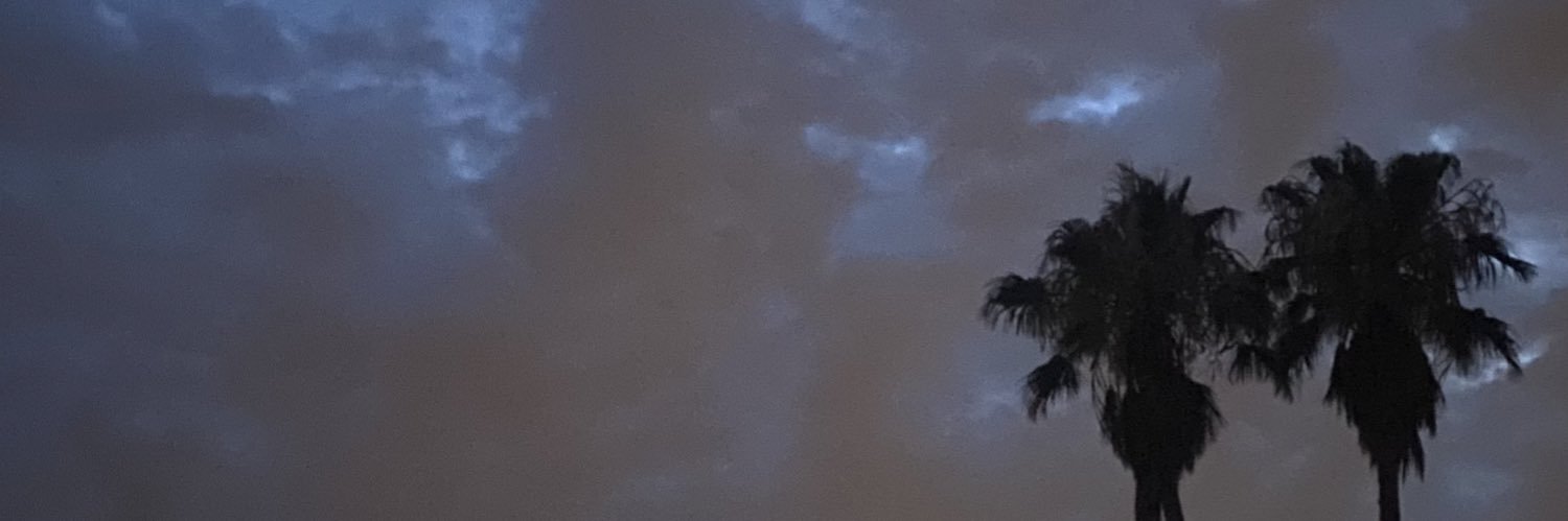 NotFascinated's profile banner image