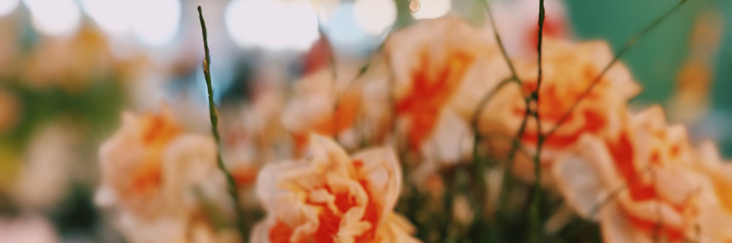 alexaangeline_'s profile banner image