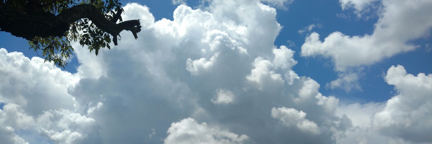 Adanari Velázquez banner