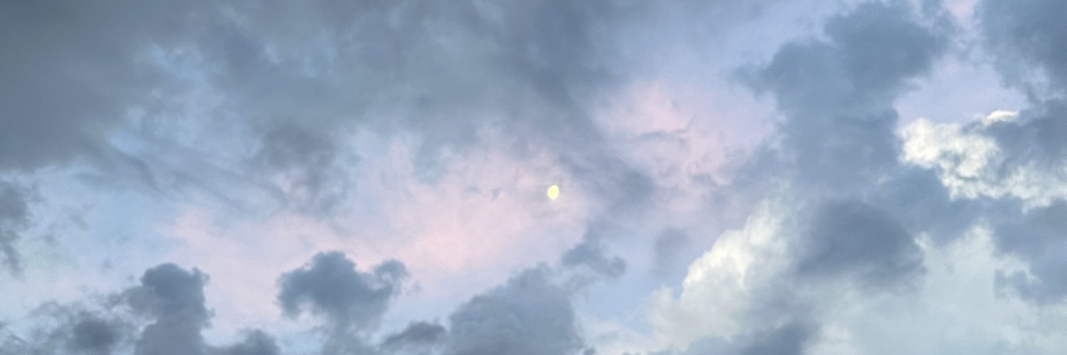 al4d_12's profile banner image