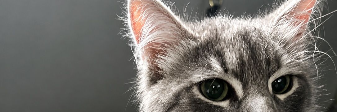 Go_Figure_Out's profile banner image