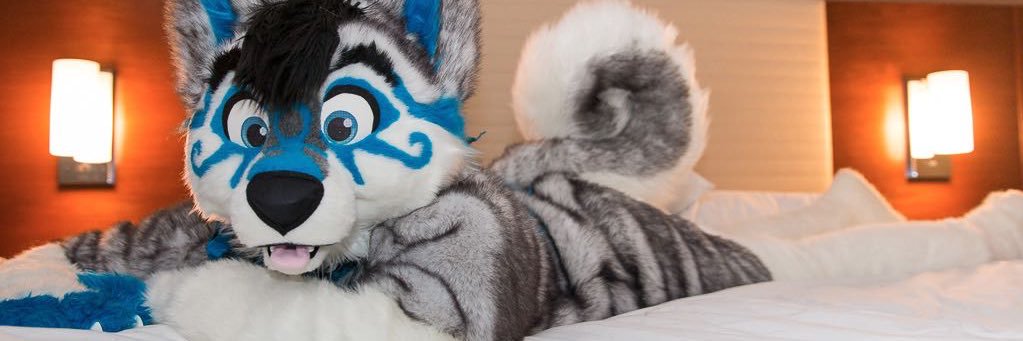 Boz_Husky's profile banner image