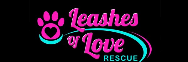 LOLRescue Profile Banner