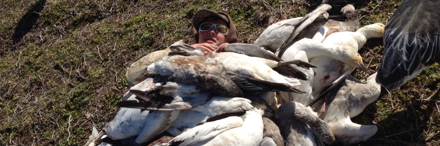 Dan_Meeks's profile banner image