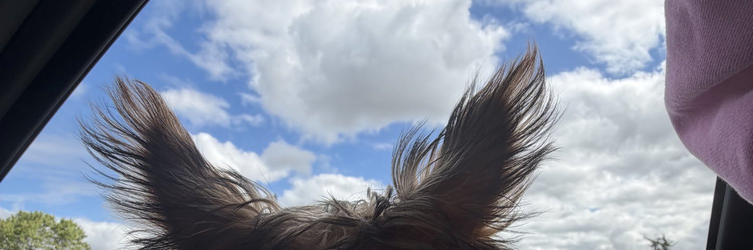 SarahUgaz's profile banner image