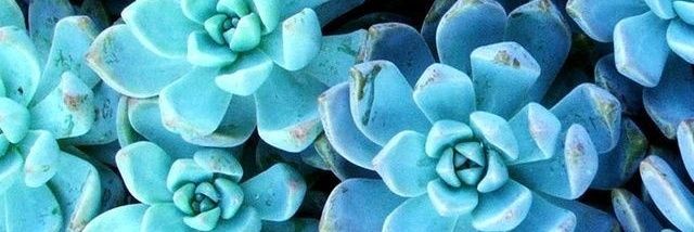 karentpg77's profile banner image