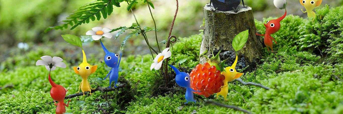 Pikipedia banner