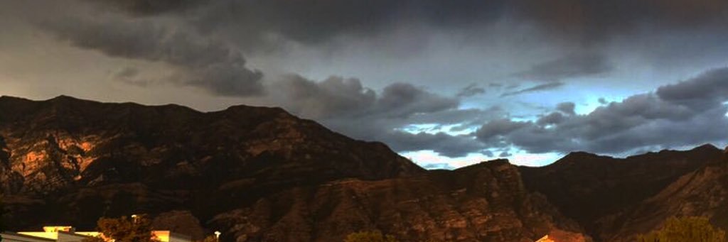 Bear_R_Us_Plus's profile banner image