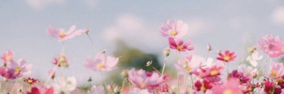 myaaarosee's profile banner image