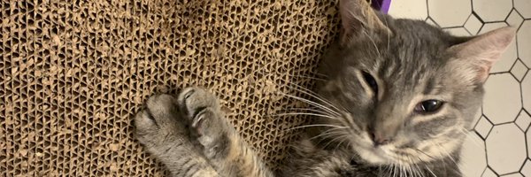 dementedkirby Profile Banner