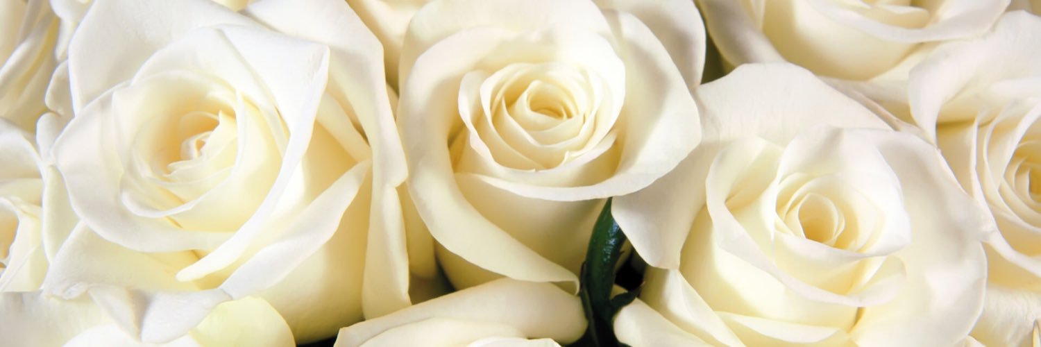 RLBxox's profile banner image