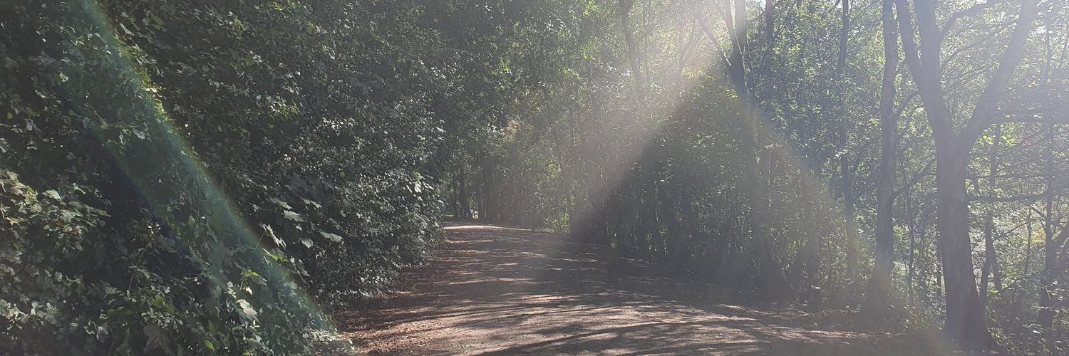 DanielWorker1's profile banner image