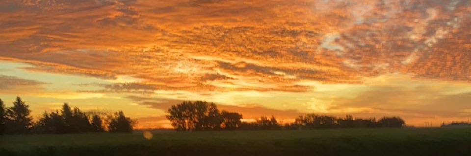 Matthew Thiessen banner