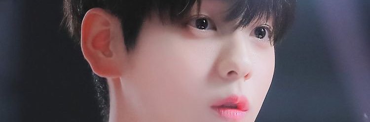 subini516's profile banner image