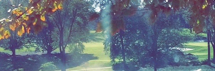 TrippyAddicts's profile banner image