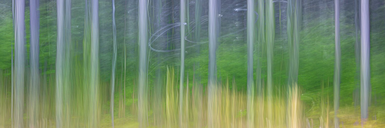 StephJohnPhoto's profile banner image