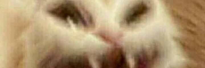 amauryleon04's profile banner image