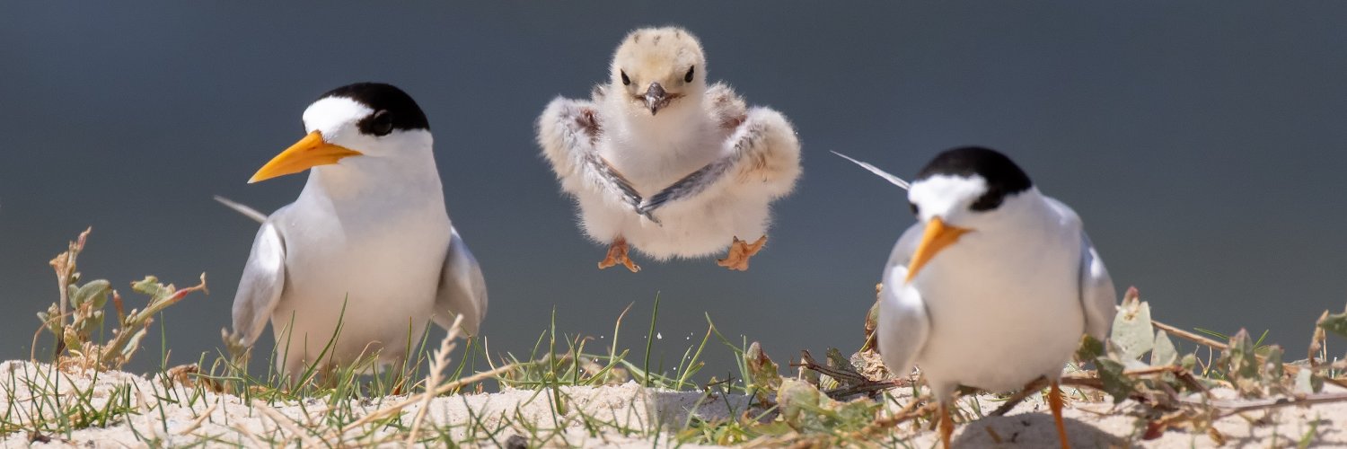 State NRM Program WA banner