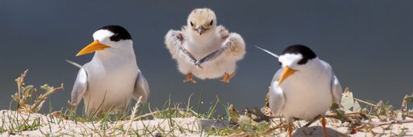 StateNRMProgram Profile Banner