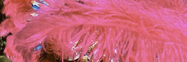 Prettynpink352's profile banner image