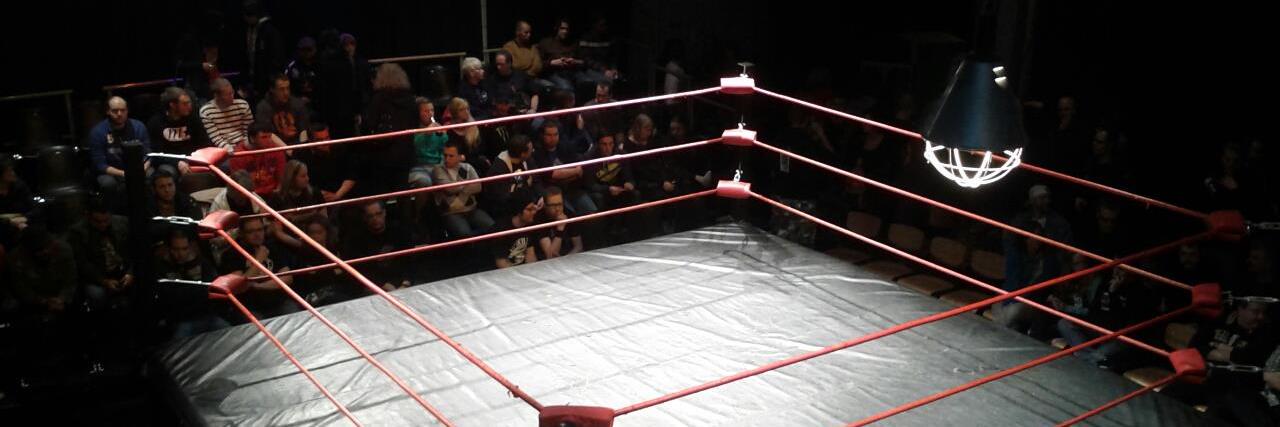 WrestleChimera's profile banner image