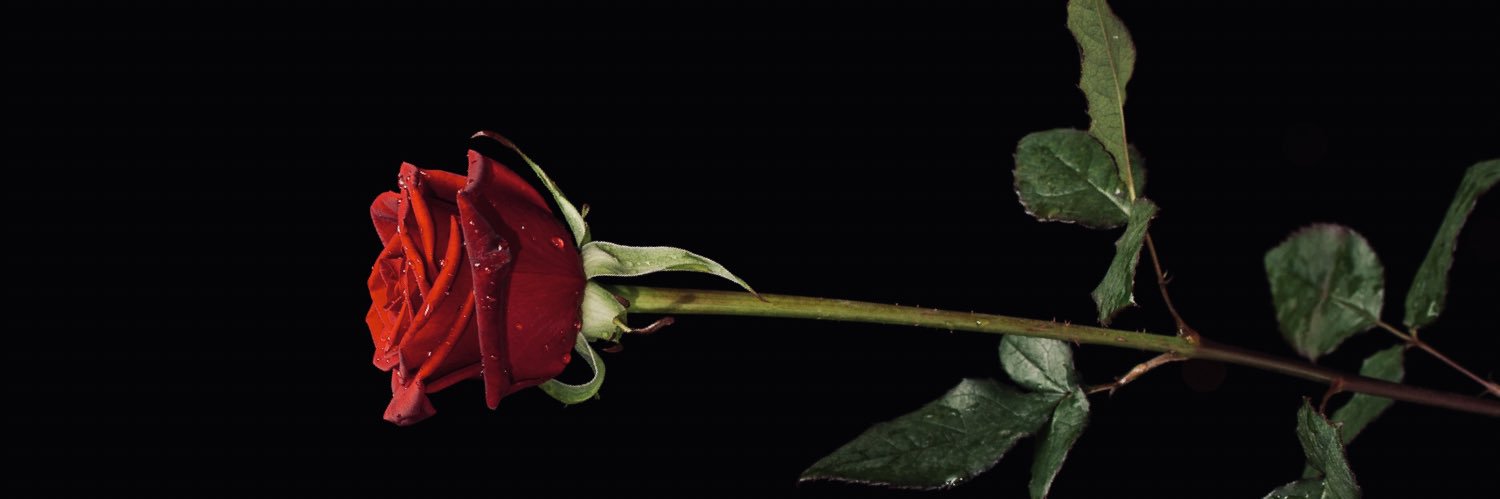 Kiidmarco's profile banner image