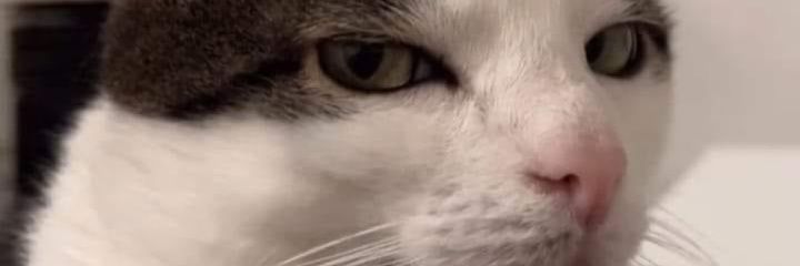 micamarilaf's profile banner image