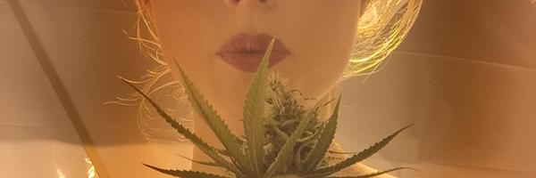 AliceOregon Profile Banner