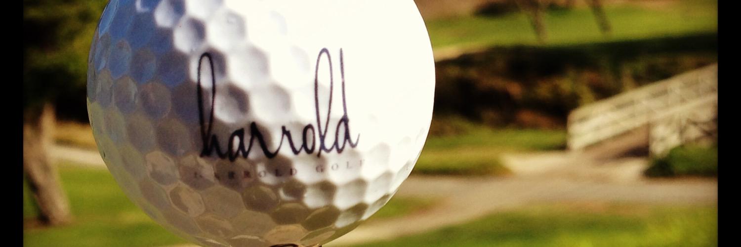HarroldGolfCorp's profile banner image