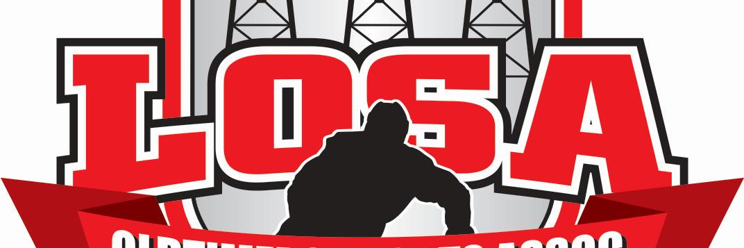 LOSAhockey's profile banner image