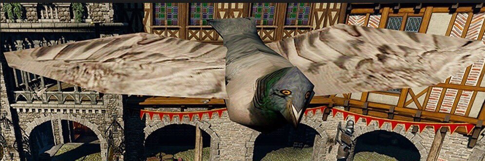 kitamoru's profile banner image