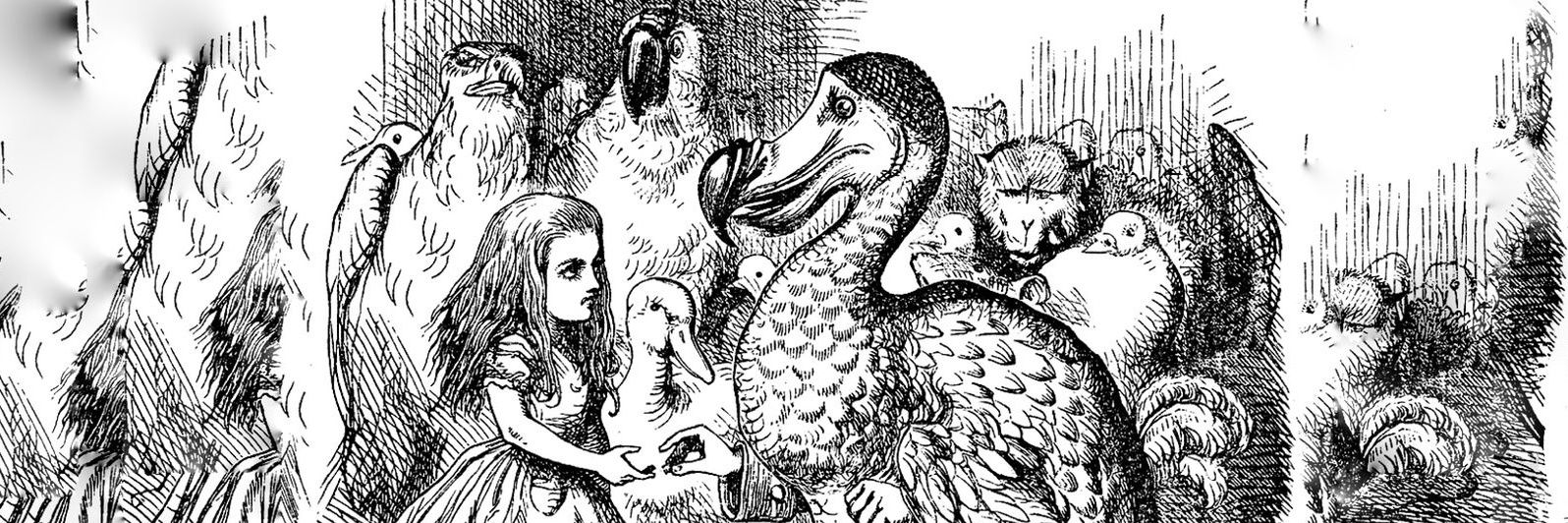 Álex Dorado Nájera 🌍♻️🦤 banner