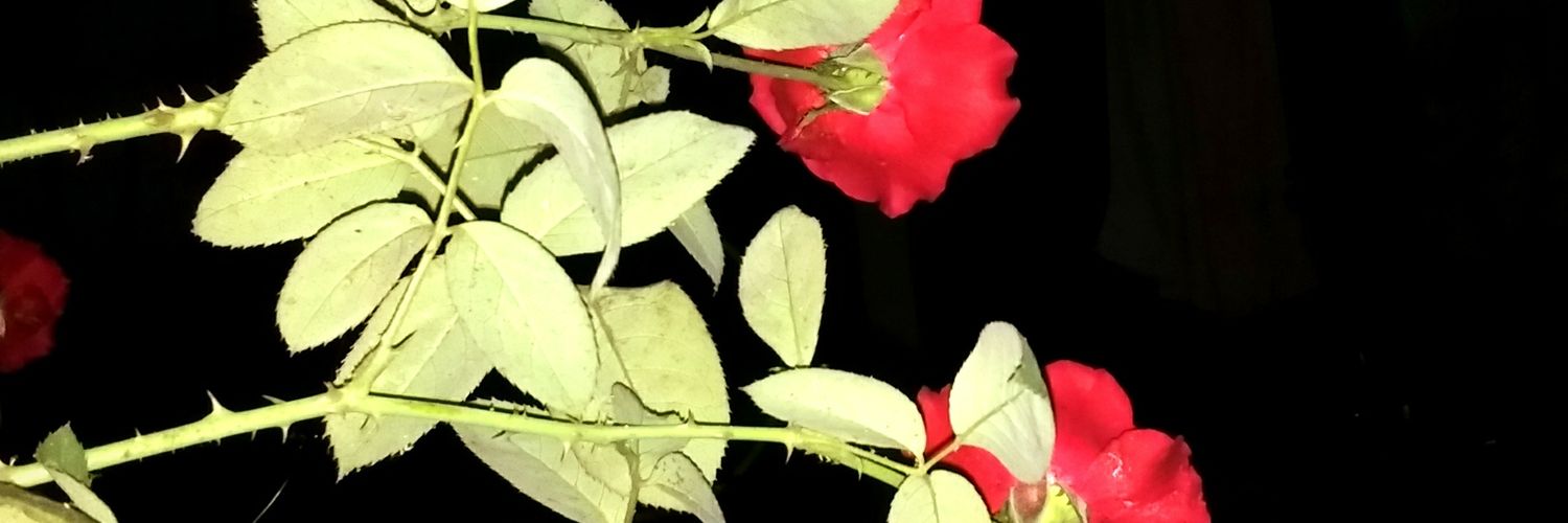 itsmil's profile banner image