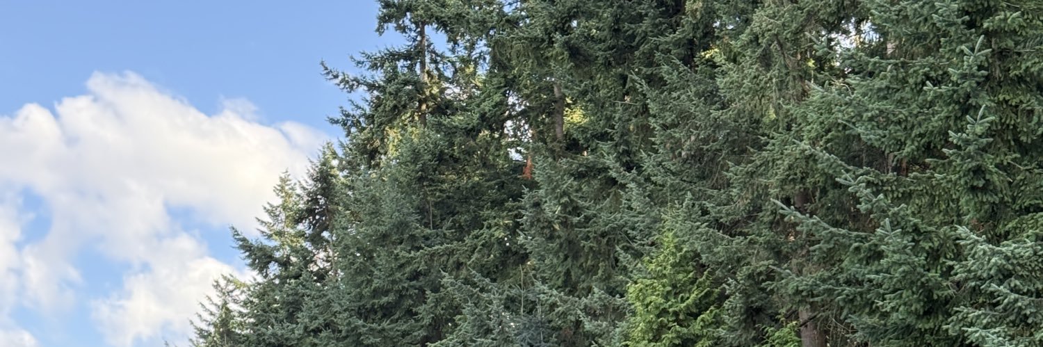 JesusJaimes09's profile banner image