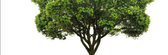 grassrootgrow's profile banner image