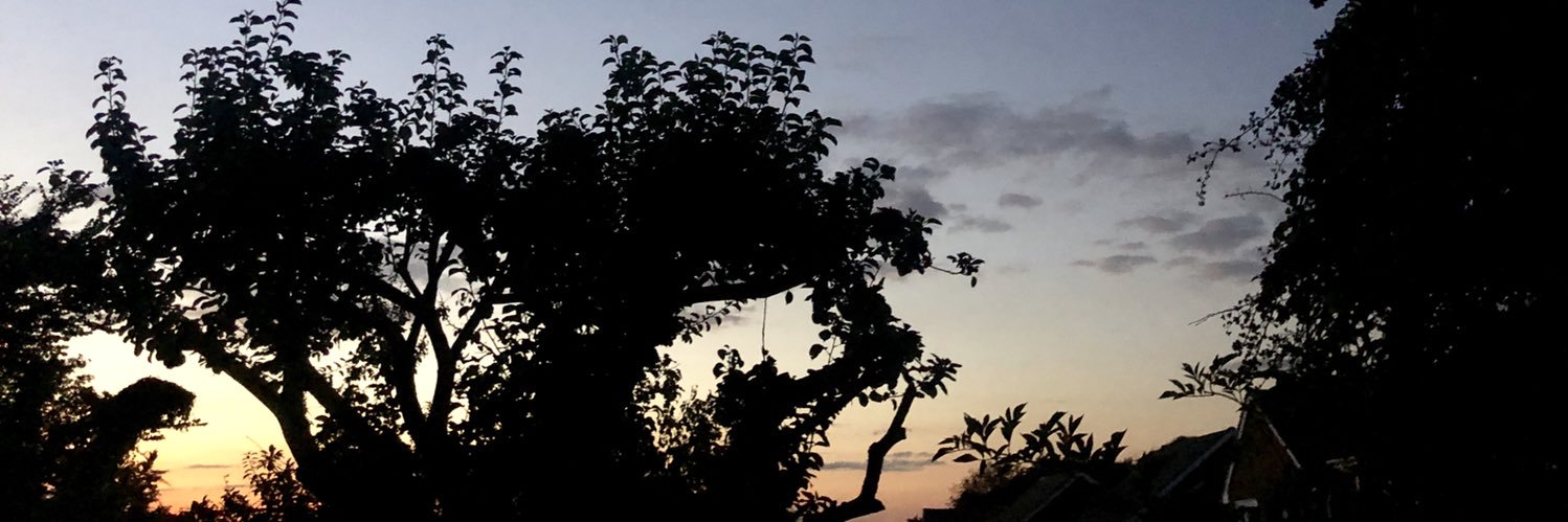 LiamAndrewPower's profile banner image