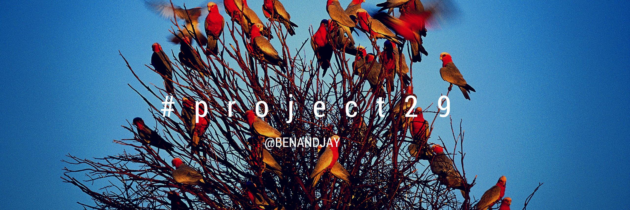 benandjay's profile banner image