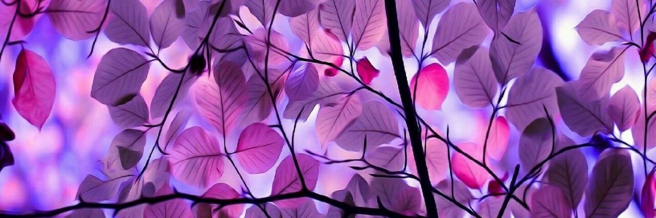 Marianagmt2804's profile banner image