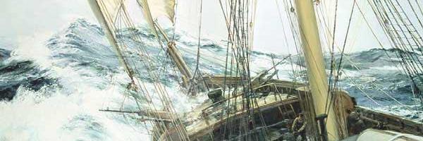 piratess16's profile banner image