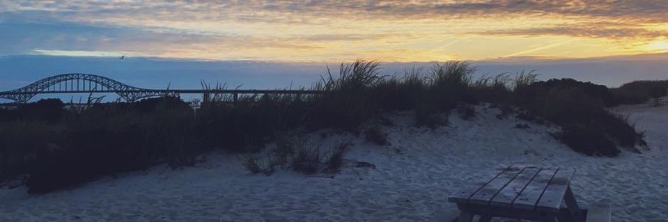 emily_dwyerr's profile banner image