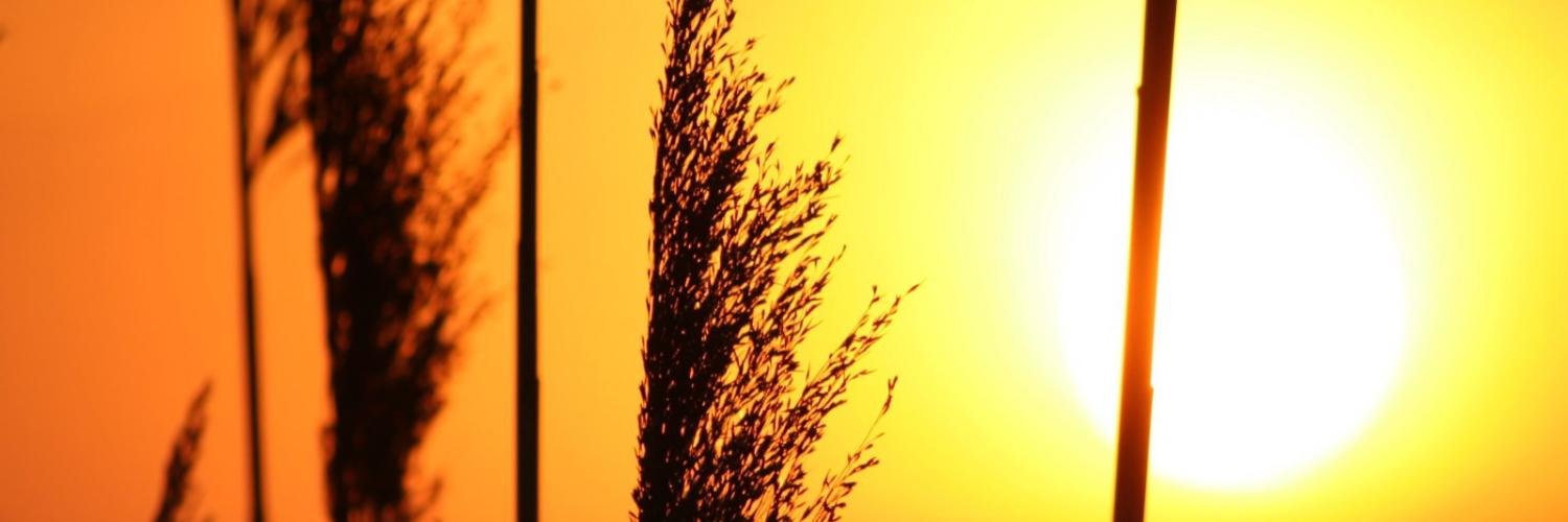anggitaprl's profile banner image