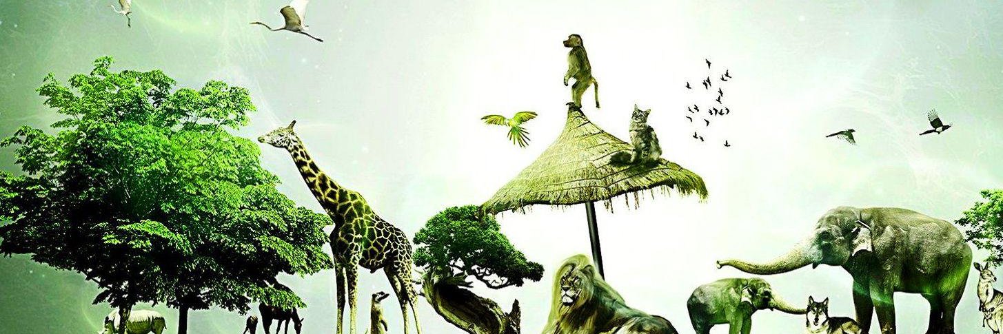 ramesh_8008's profile banner image