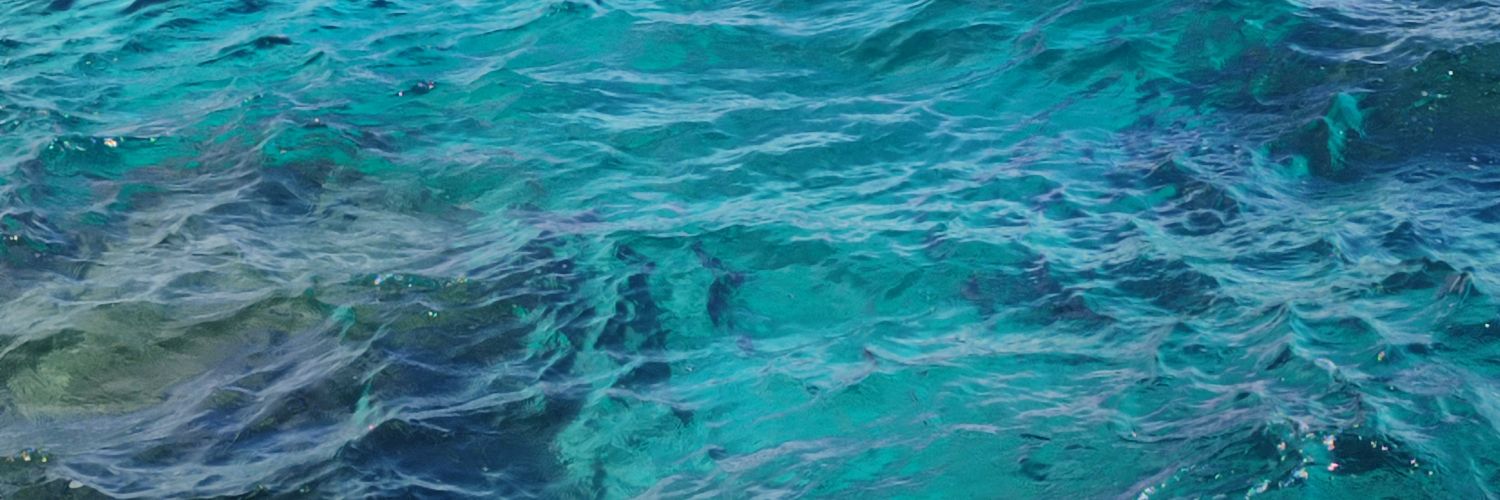 veageeee's profile banner image